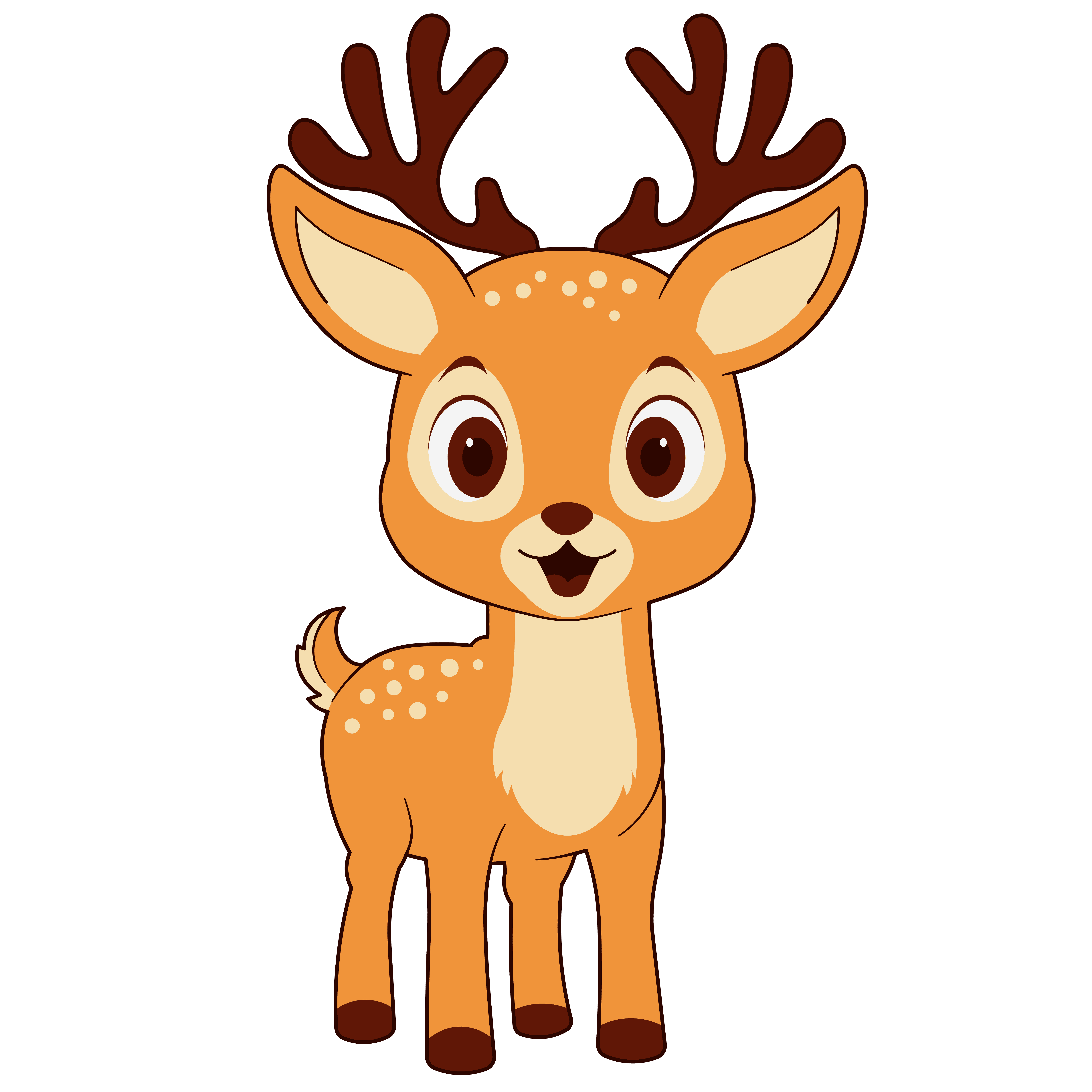 Deer